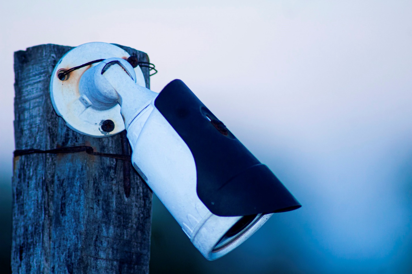 A camera on a pole for a commercial security system